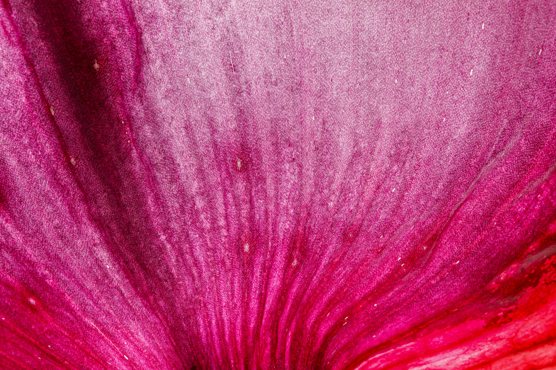 Fotografía artistica 13