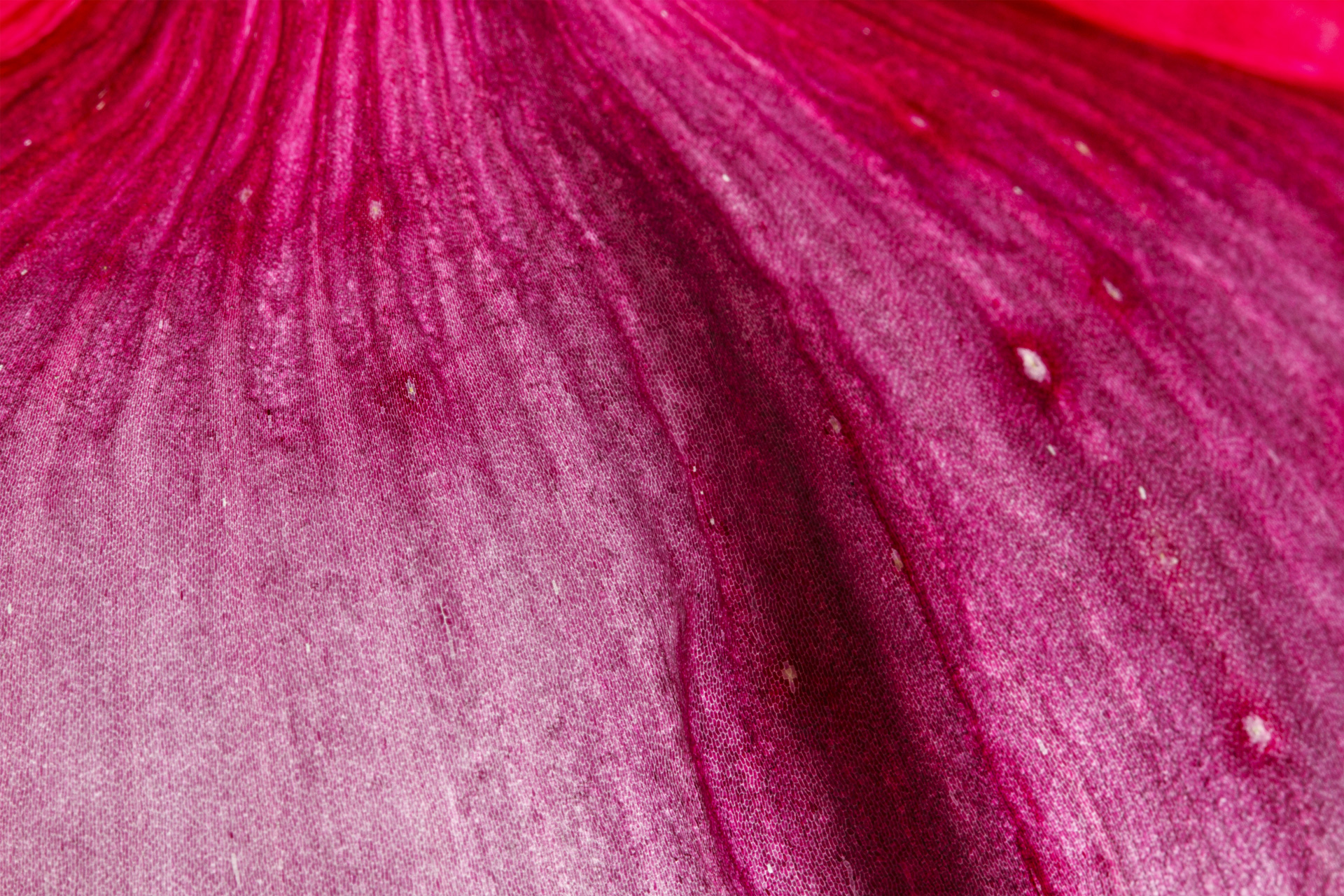 Fotografía artistica 14