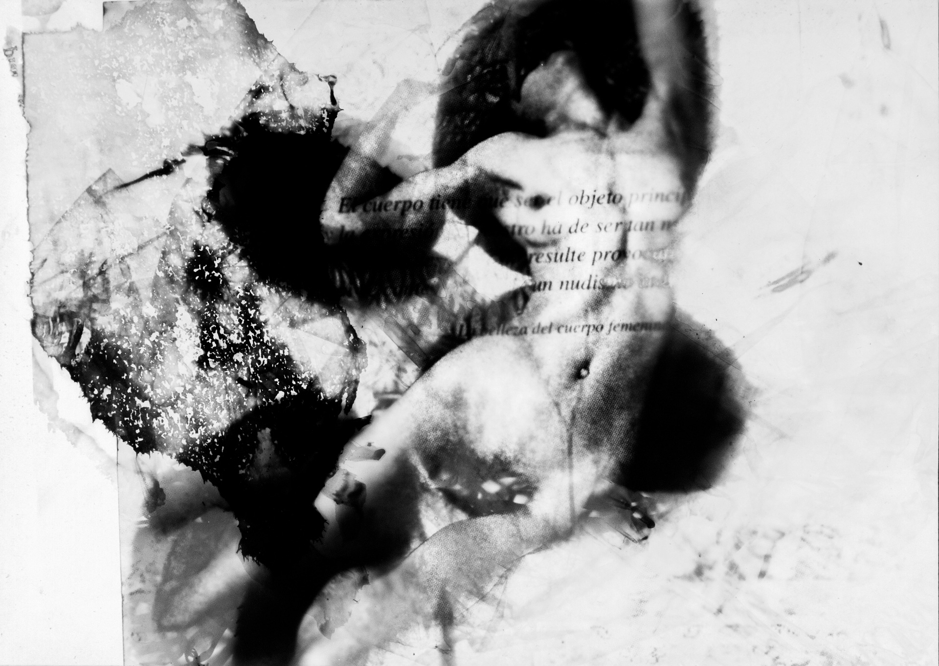 Fotografía artistica 2