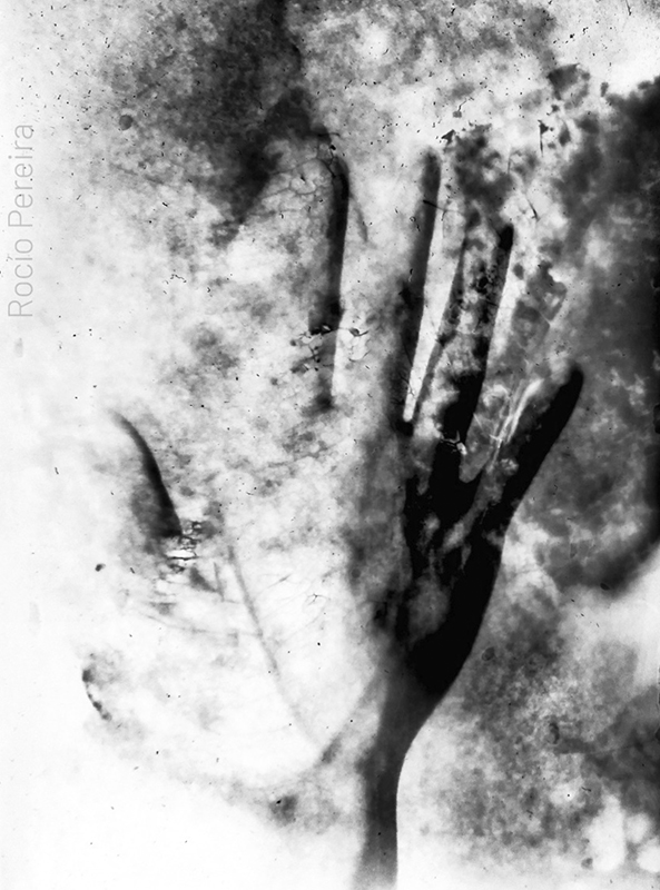 Fotografía artistica 4