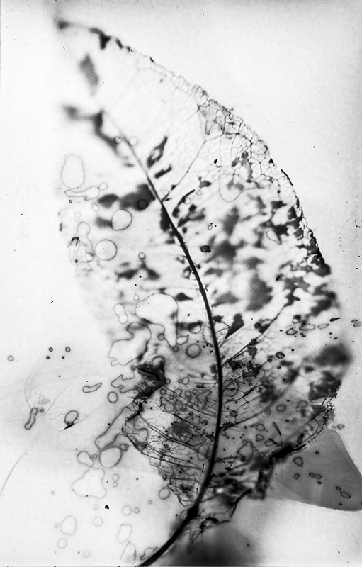 Fotografía artistica 6