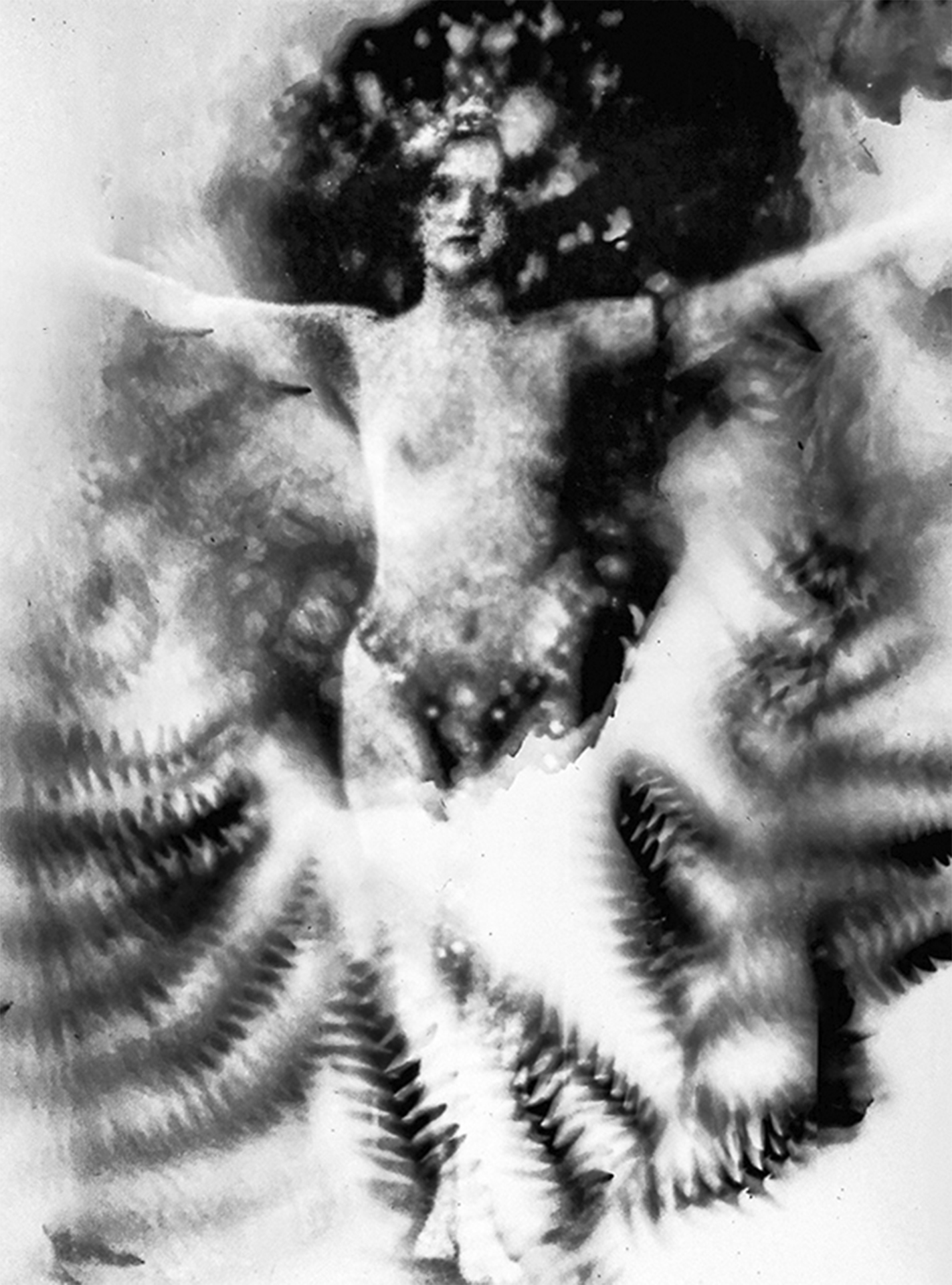 Fotografía artistica 7