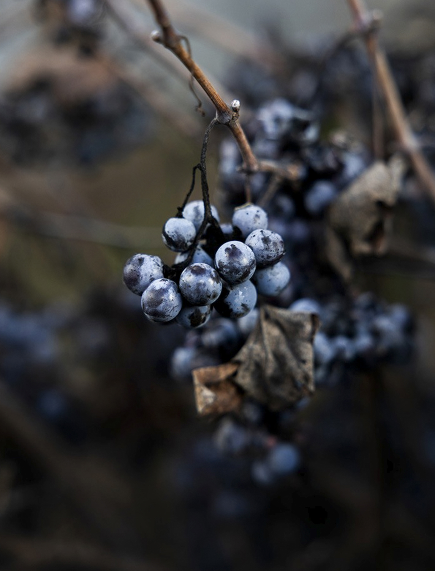 Fotografía empresa 10