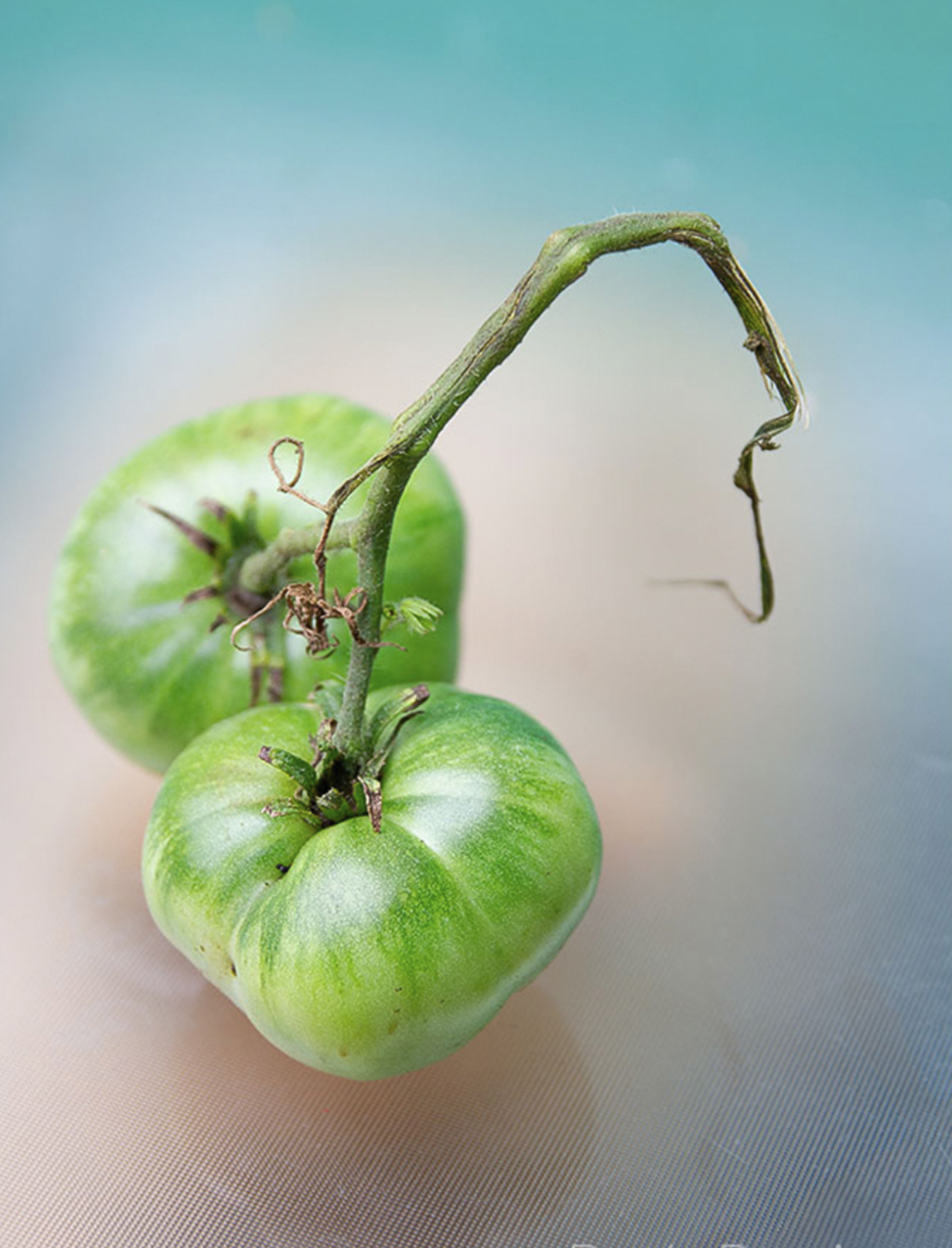 Fotografía empresa 11