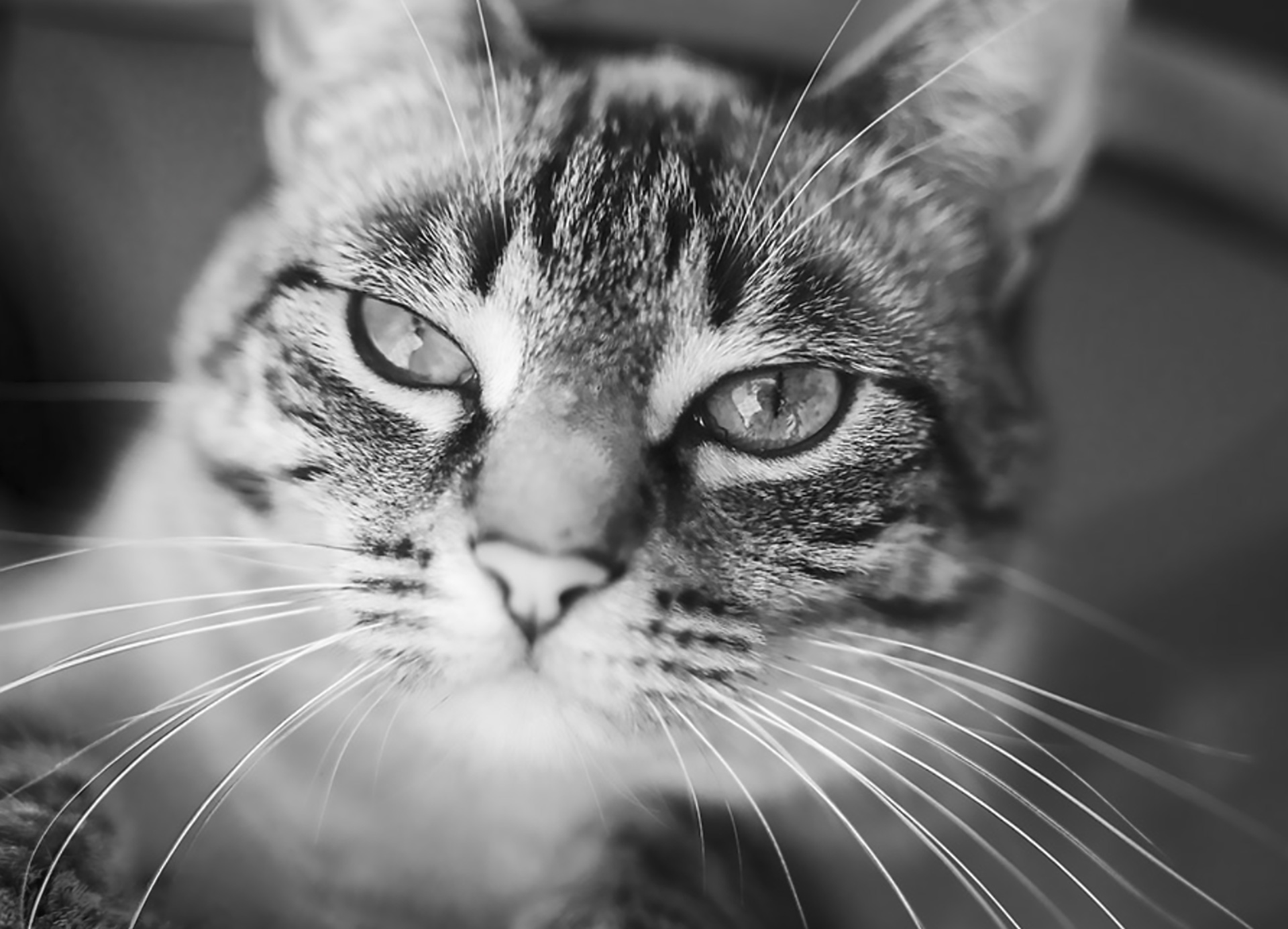 Fotografía social 19